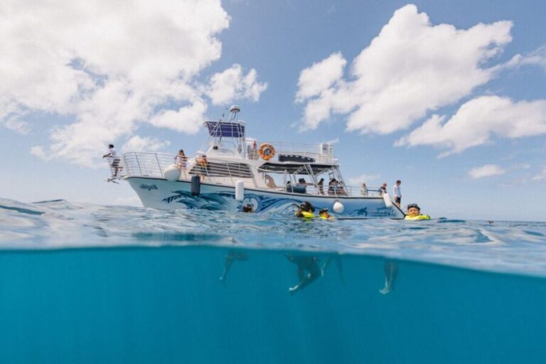 Oahu: Turtle Canyon Snorkeling & Hula Show - Analyzing the Value
