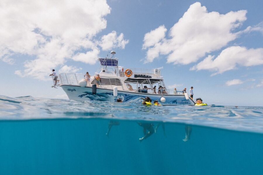 Oahu: Turtle Canyon Snorkeling & Hula Show - Analyzing the Value