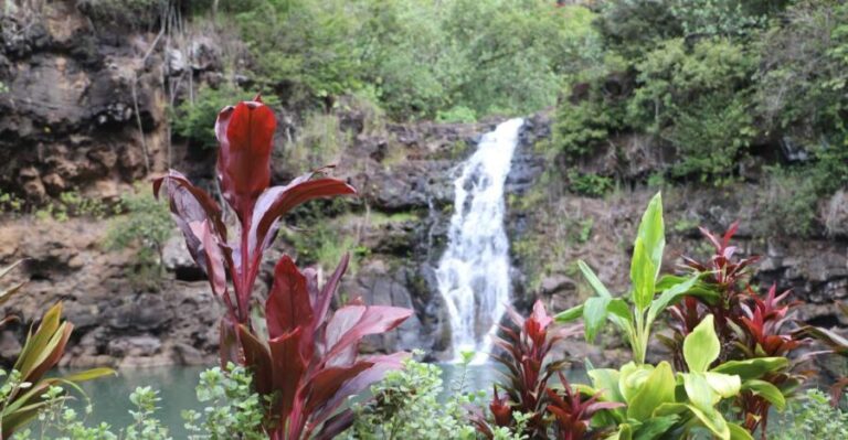 Oahu: Valley of Waimea Falls Swim & Hike with Lunch & Dole - Who Will Love This Tour?