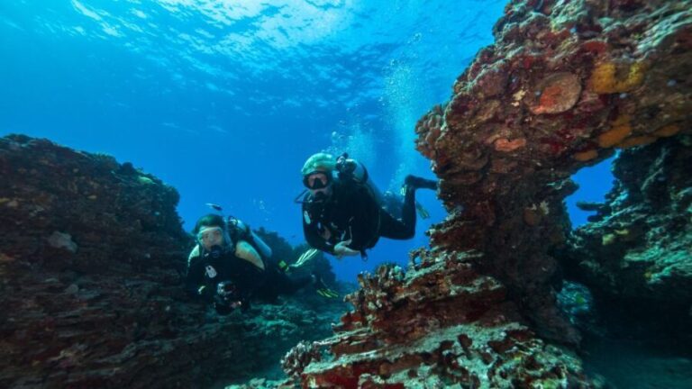 Oahu: Waikiki Discovery Scuba Diving for Beginners - A Detailed Look at the Experience