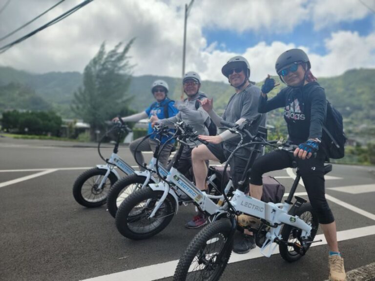 Oahu: Waikiki E-Bike Ride and Manoa Falls Hike - What Makes This Tour Stand Out?