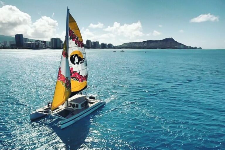 Oahu: Waikiki Eco-Friendly Morning Whale Watching Cruise - Pricing and Value