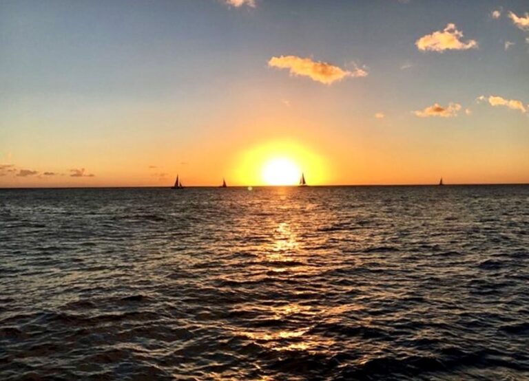 Oahu: Waikiki Glass Bottom Boat Sunset Cruise - What to Expect from the Waikiki Glass Bottom Boat Sunset Cruise