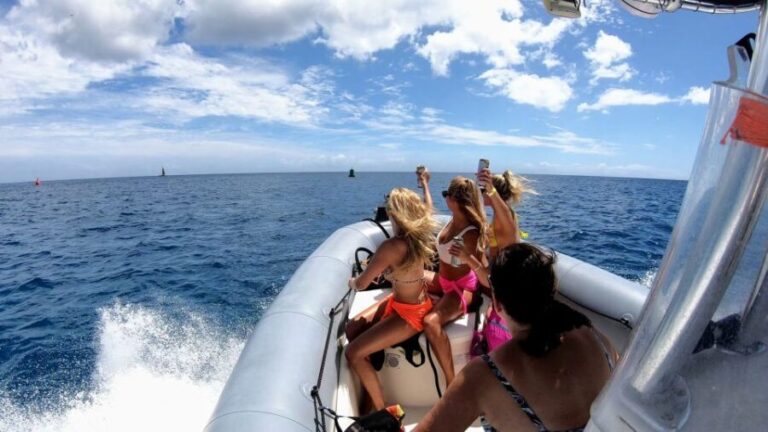 Oahu: Waikiki Private Snorkeling and Wildlife Boat Tour - FAQ