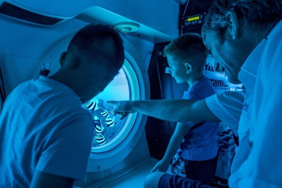 Oahu: Waikiki Submarine Tour - Authentic Insights from the Reviews