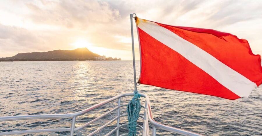 Oahu: Waikiki Turtle Canyons Cruise and Snorkel Excursion - The Value of the Experience