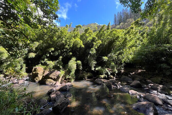 Oahu Waterfall Hike-Garden-Beach Road Trip, Waikiki to Lanikai - Who Will Enjoy This Tour?