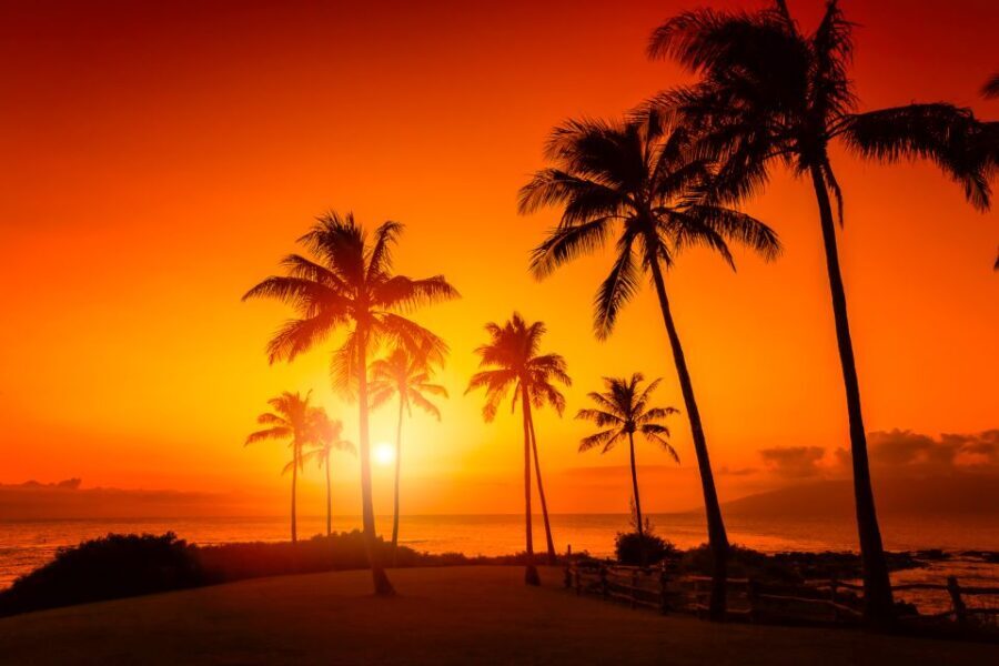Oahu: West Oahu Sunset Cruise with Cocktails and Appetizers - What’s Included and How It Adds Value