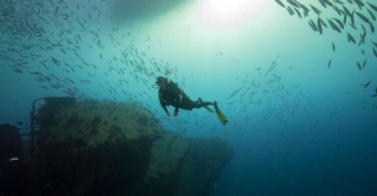 Oahu: Wreck & Reef Scuba Dive for Certified Divers - The Practicalities: What the Tour Offers and Why It Matters