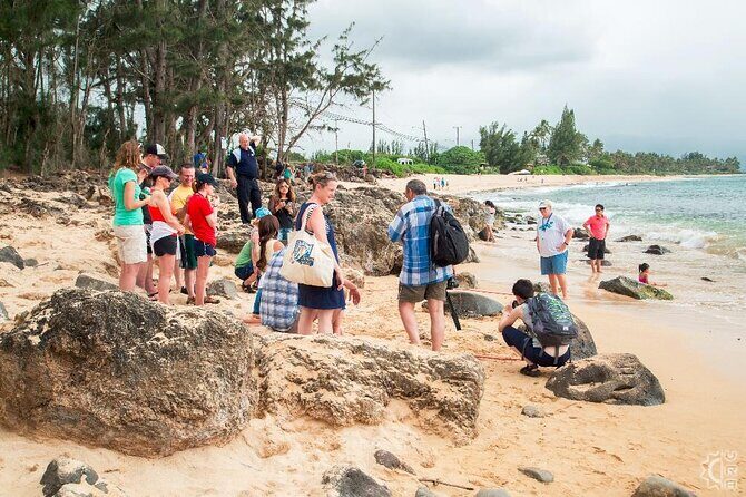Oahu's Cheapest Circle Island Tour - The Practical Side: Transportation, Duration, and Group Size