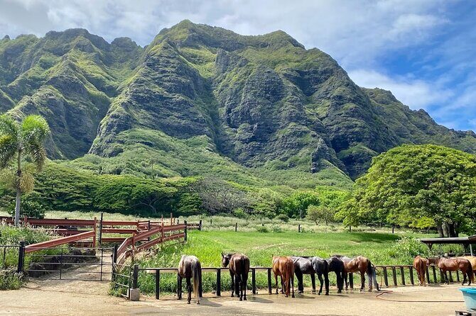 Oahu's Fun and Foodie Tour Groups of 5 or more Only! - The Practical Side: Pricing, Duration, and Comfort