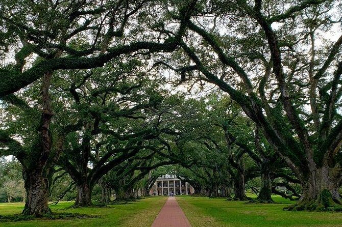 Oak Alley and Laura Plantation Tour with Transportation from New Orleans - Authentic Insights from Travelers