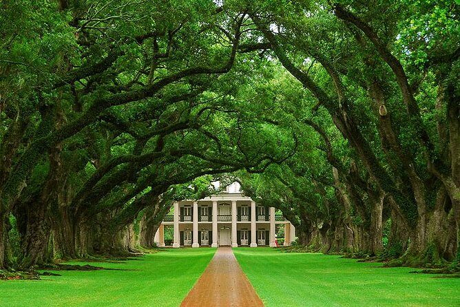 Oak Alley Plantation and Swamp Boat Tour from New Orleans - Authentic Experiences and Authenticity