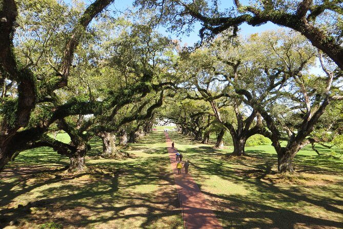 Oak Alley Plantation Half-Day Tour from New Orleans - Who Would Love This Tour?