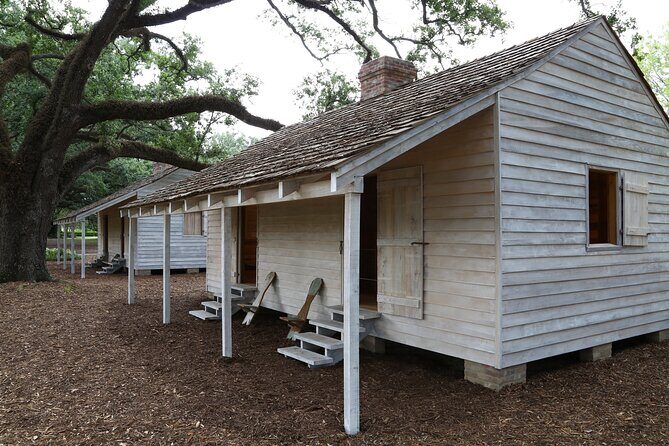 Oak Alley Plantation Half Day Tour - The Experience: What to Expect