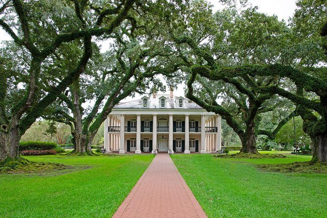 Oak Alley Plantation Tour with Transportation - What Travelers Are Saying