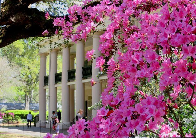 Oak Alley Plantation Tour with Transportation from New Orleans - Practical Tips for Your Visit