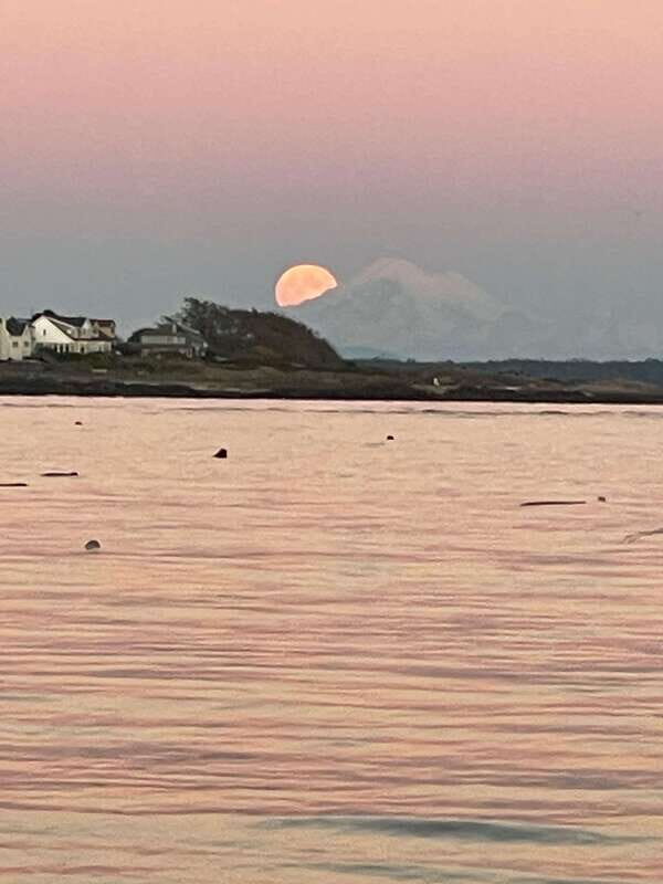 Oak Bay: Full Moon Paddle Experience - Why This Tour Offers Excellent Value