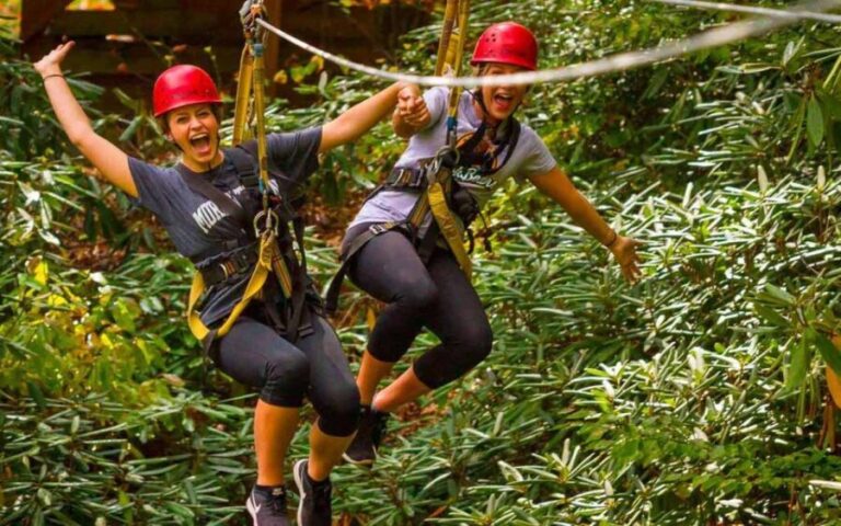 Oak Hill: Zipline Tour in New River Gorge National Park - What to Expect at Each Stage