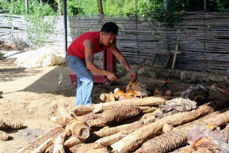Oaxaca: Ancestral Mezcal Tasting in Ocotlan Valley - The Experience for Different Travelers