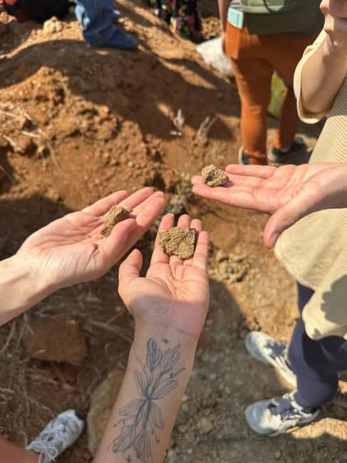 Oaxaca: Artisan Clay Pottery Workshop w/Breakfast and Brunch - Who Should Consider This Tour?