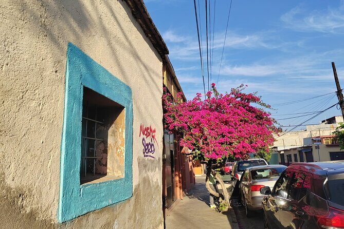 Oaxaca: Beyond the surface - The Guide and Group Experience
