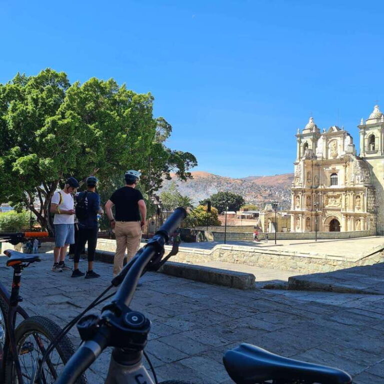 Oaxaca City: Bike Tour with Professional Guide+Art workshop - The Optional Art Workshop: A Creative Finale