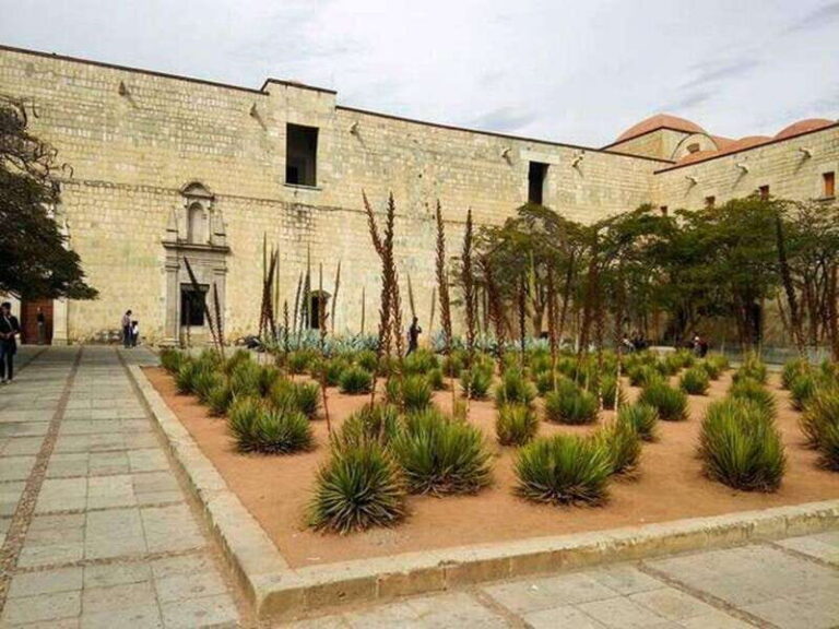 Oaxaca : City Tour - Authenticity and Value