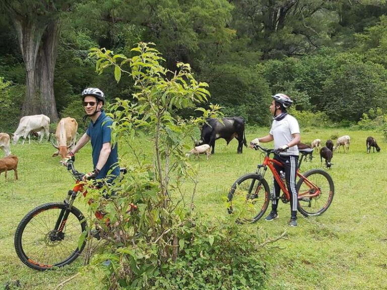 Oaxaca: Ejutla Canyon 1 Day Bike Tour - The Experience From a Traveler’s Perspective