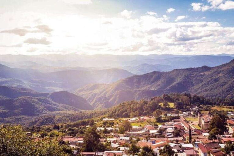 Oaxaca: Forest and Nature Walking Experience - The Itinerary in Detail