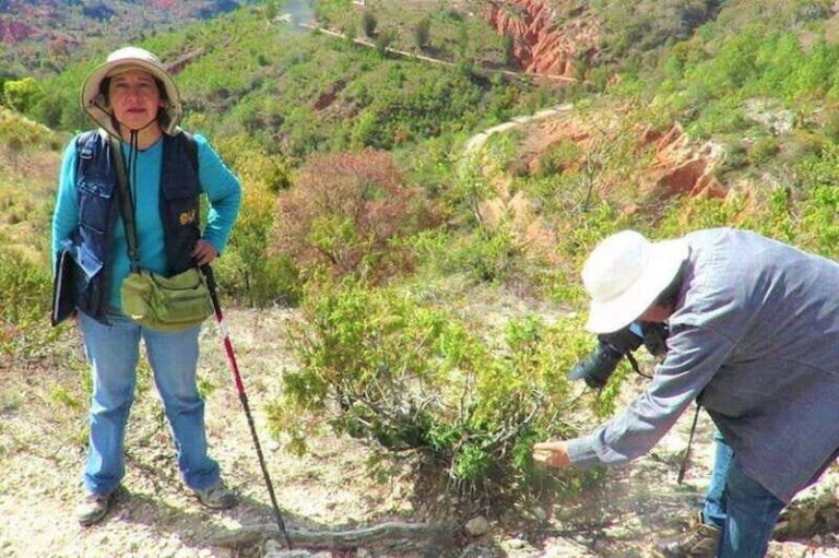 Oaxaca: Geoparque Exploration Tour - Who Should Consider This Tour?
