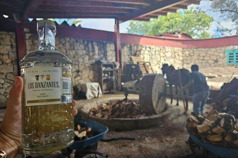 Oaxaca: Hierve el Agua, Mezcal Distillery, and Lunch Tour - Mezcal: The Spirit of Oaxaca