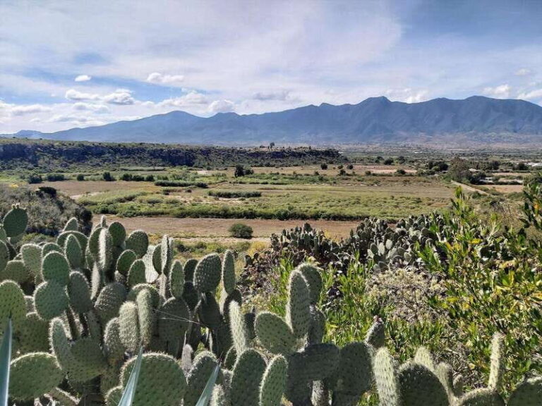 Oaxaca: La Culebra - Prehistoric Caves 1 Day Bike Tour - Transportation, Duration, and Group Size