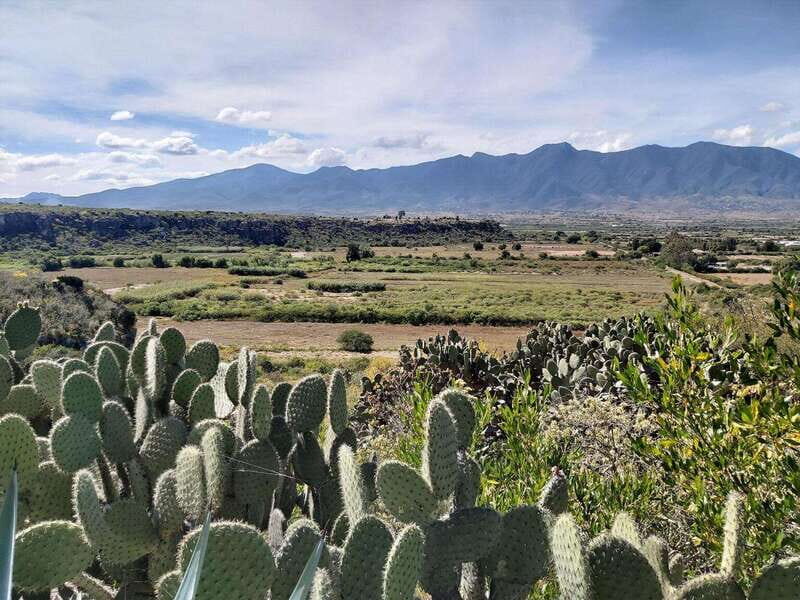 Oaxaca: La Culebra - Prehistoric Caves 1 Day Bike Tour - Transportation, Duration, and Group Size
