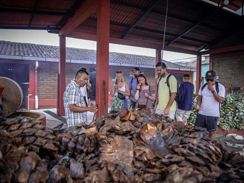 Oaxaca: Mezcal Distillery Tour with Tastings - What’s Included and What’s Not