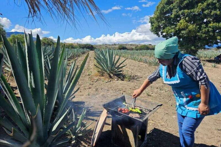 Oaxaca: Private Lunch in Maguey Fields with Mezcal Tasting - Why This Tour Stands Out
