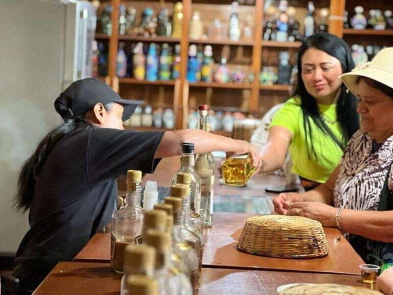 Oaxaca: Private Tour Esencia de Oaxaca - Practicalities: What You Need to Know