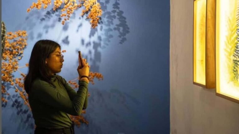 Oaxaca Renowned Art Galleries and Traditions in Private Tour - Final Thoughts