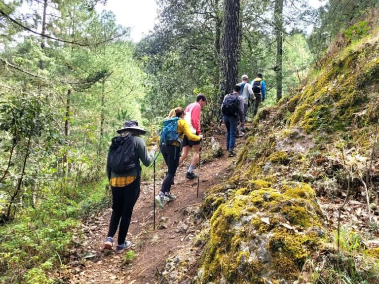Oaxaca: Sierra Norte Ixtepeji Guided Hike & Lunch, Half-Day - Summary: Is It Worth It?