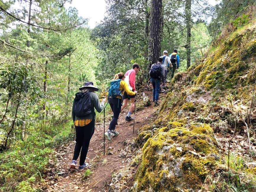 Oaxaca: Sierra Norte Ixtepeji Guided Hike & Lunch, Half-Day - Summary: Is It Worth It?
