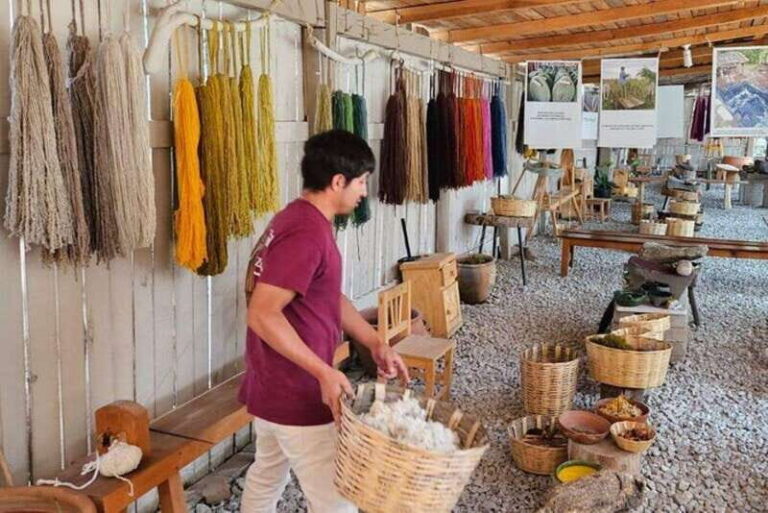 Oaxaca: Traditional Market Private Tour - The Practicalities: Value, Comfort, and Flexibility