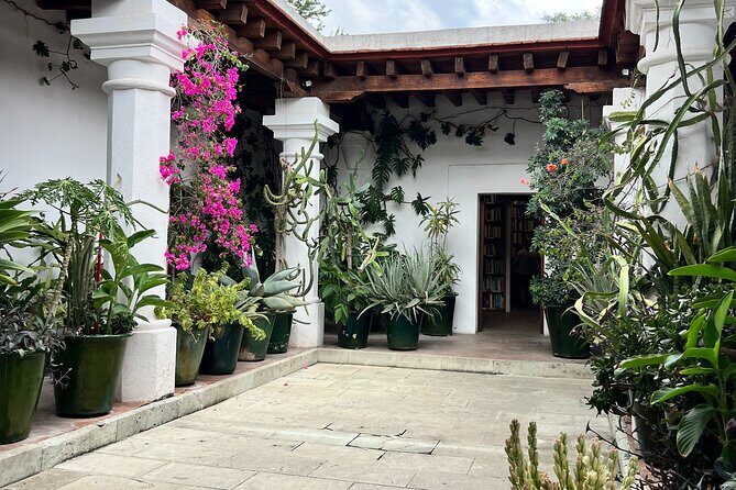 Oaxaca Walking Tour - Final Thoughts