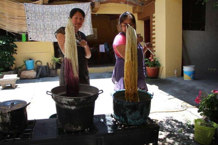 Oaxaca: Zapotec Roots, Mezcal and Textiles Tour - The Itinerary: A Well-Curated Journey into Zapotec Heritage