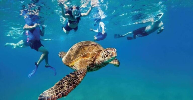 Ocean Reef Snorkeling and Paddleboarding - What Makes This Tour Stand Out