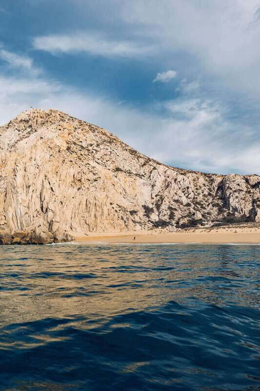 Ocean Safari in San Jose del Cabo - The Value of the Experience