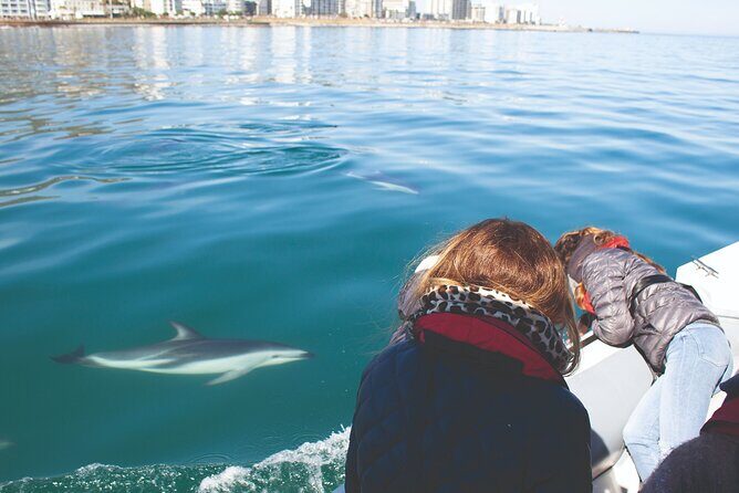 Ocean Wildlife Encounter in Cape Town - Who Will Love This Tour?