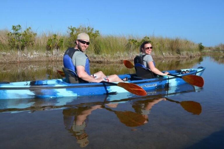 Ochopee: Half-Day Mangrove Tunnel Kayak Tour - Navigating the Mangroves – What You Can Expect