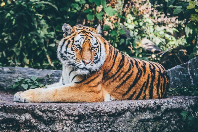 Of Monterrey Biopark Star - What Does the Price Cover and What’s Not?