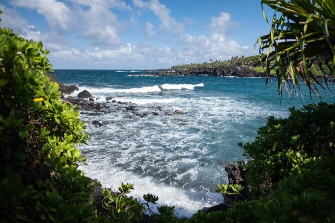 Off Road Coastal Tour 4x4 Vehicle With Snorkel, Photo and Video - Authentic Experiences and Reviewer Insights