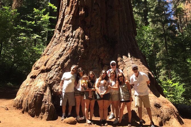 Off-Road Giant Sequoia 4x4 Tour - Who Will Love This Tour?